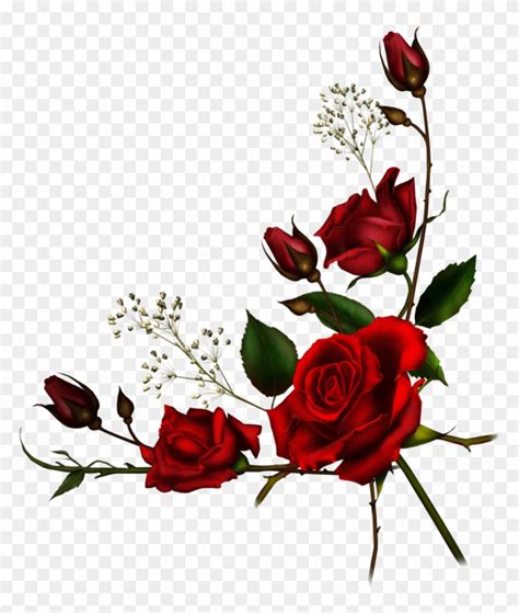 Rose Vine Borders Roses Corner Border Png Free Transparent Png