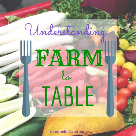Understanding The Farm To Table Movement Bay Area Gourment Caterers