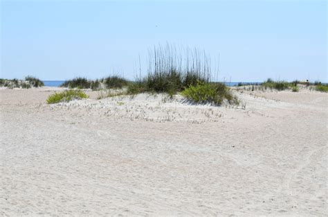 Beach Sand Dunes Free Stock Photo Public Domain Pictures