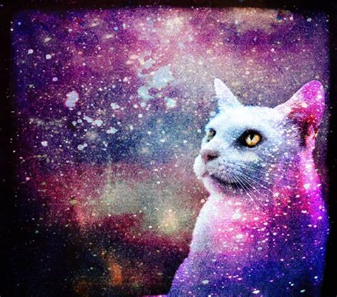 Galaxy Cat Wallpaper Wallpapersafari
