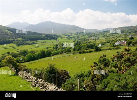 Farm Countryside In The Mourne Mountains County Down Ireland Seen