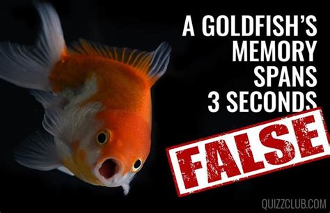 We Bet You Always Believed These 8 Completely False Facts False Facts