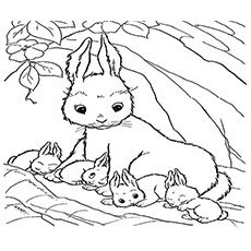 Some of the worksheets for this concept are animal babies and adults picture card set, kindergarten mother and baby animal lessons, baby animals match, animal families activities kindergarten, eek 1. Top 15 Free Printable Bunny Coloring Pages Online