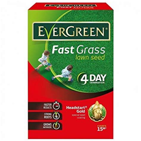 Evergreen Fast Grass Lawn Seed 15 M2