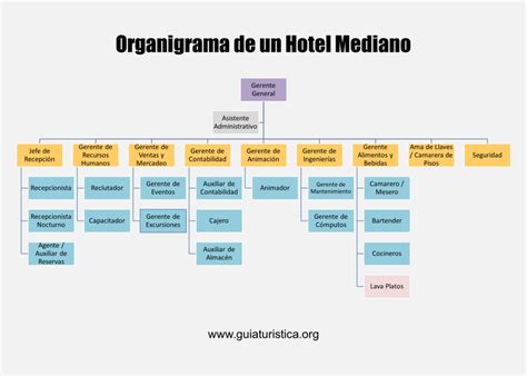 Organigrama De Un Hotel Y Sus Funciones 2022