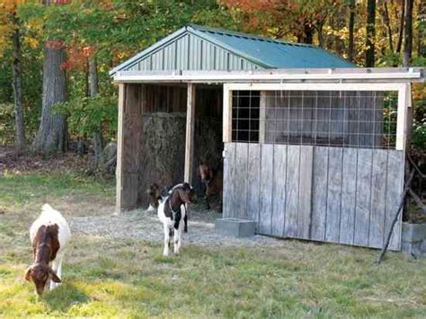 Wood Pallets Make A Great Diy Barn Cappers Farmer Animal Shelter