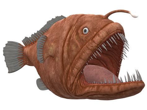 Angler Fish Isolated On A Transparent Background 23839371 Png