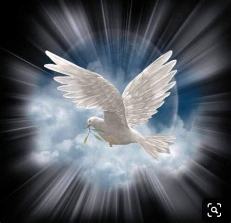 Holy Spirit Dove Stock Photos Images And Pictures Ed1