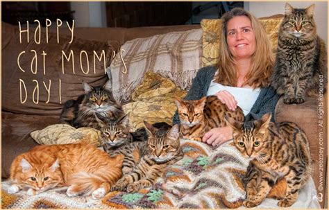 The Many Shades Of Mothers Day For A Cat Mom Zee And Zoeys Cat Chronicles