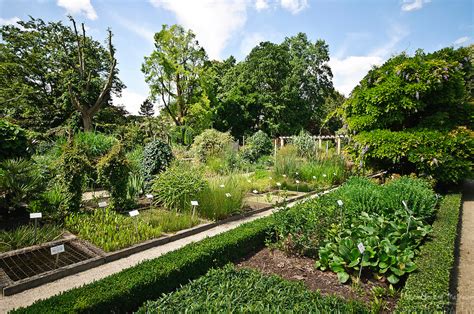 Kruidtuin Herbal Gardens Of Leuven Alison Cornford Matheson