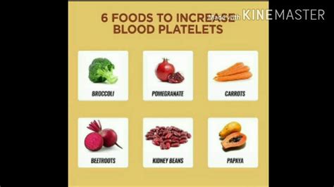 How To Increase Blood Platelets Youtube