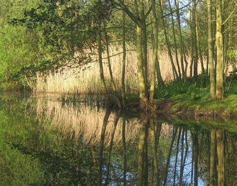 Spring Morning At Needham Lake Andrew Hill Flickr