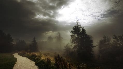 Fondos De Pantalla Luz De Sol Árboles Paisaje Bosque Oscuro