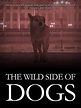 The Wild Side of Dogs (película) - Tráiler. resumen, reparto y dónde ...