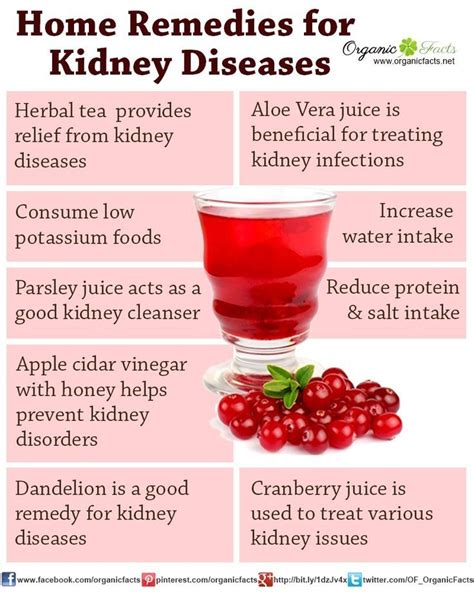 Home Remedies For Kidney Disease Organic Facts Food For Kidney