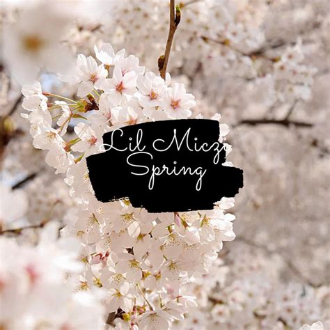 Spring Album By Lil Miczi Spotify