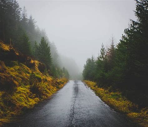 Best Rain Road Stock Photos Pictures And Royalty Free Images Istock