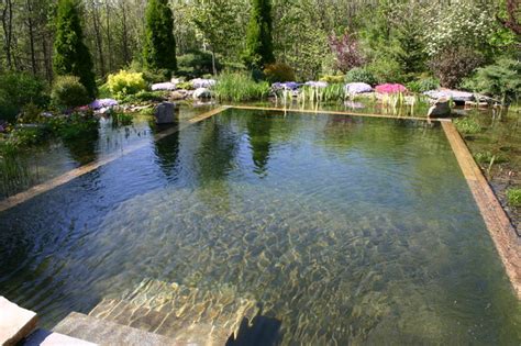Spectacular Natural Pools Premier Pools And Spas