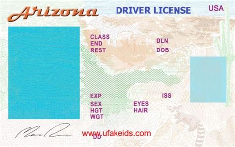 3 Fake Id Template Sample Template Business Psd Excel Word Pdf