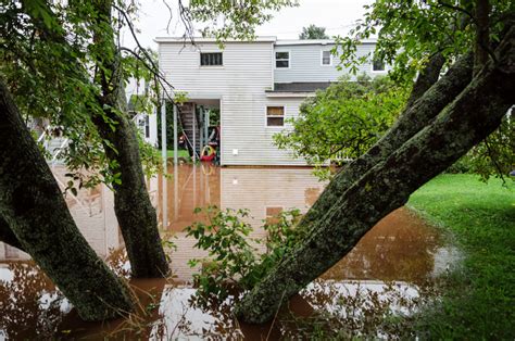 Backyard Flooding How To Fix Drainage Problems Drain Solutions