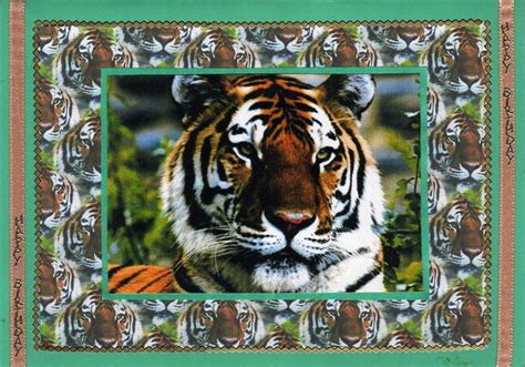 Although the debit transaction could cost up to $5, credit card cash advances cost up to 8% of the cash amount and may come with an additional fee of $5 or $10. Janet and Megans Crafts: Tiger Birthday Cards