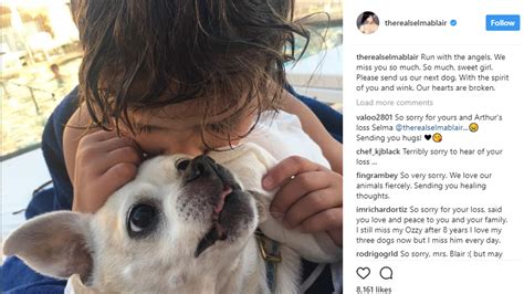 Heavenly father, our human ties with our friends of other species is a wonderful and special gift from you. Actress Selma Blair's dog dies after tragic accident • Pet ...