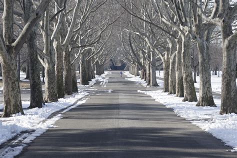 Free Images Snow Winter Road Frost New York City