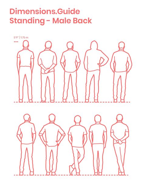 Standing Male Back Human Figure Sketches Posture Drawing Drawing