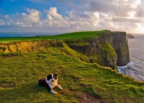Ireland The Burrens Ancient Austere Landscape Is The