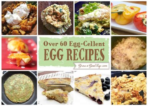 Over 60 Egg Cellent Egg Recipe Collection