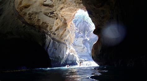 La Jolla Cave Snorkeling Tour In San Diego In San Diego Book Tours