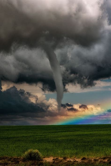 6% coupon applied at checkout save 6% with coupon. 1531 best Tornados and Other Storms images on Pinterest ...