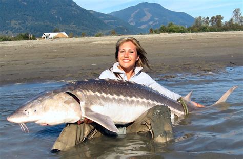 Fish on a bicycle ad from 1996, made by ogilvy & mather. Guinness Book: The biggest fish (sturgeon) in the world