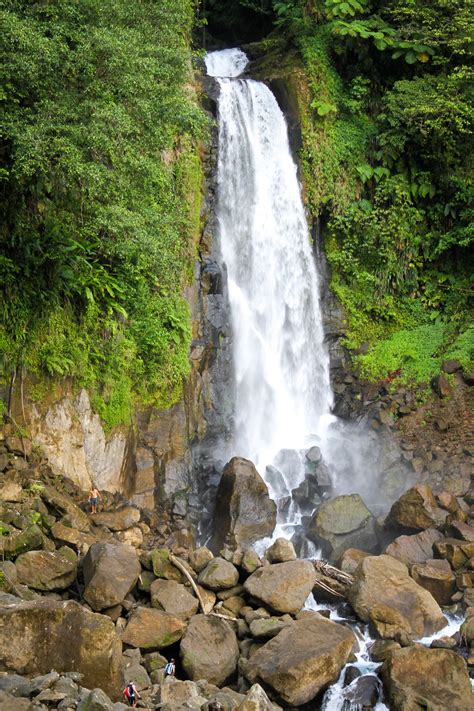 trafalgar falls riverside hotel picard dominica