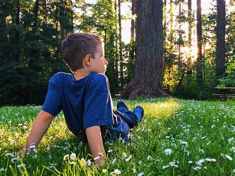Boy In Blue T Shirt And Blue Shorts Sitting On Green Grass Field Hd