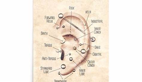 ear piercing chart for health and safety