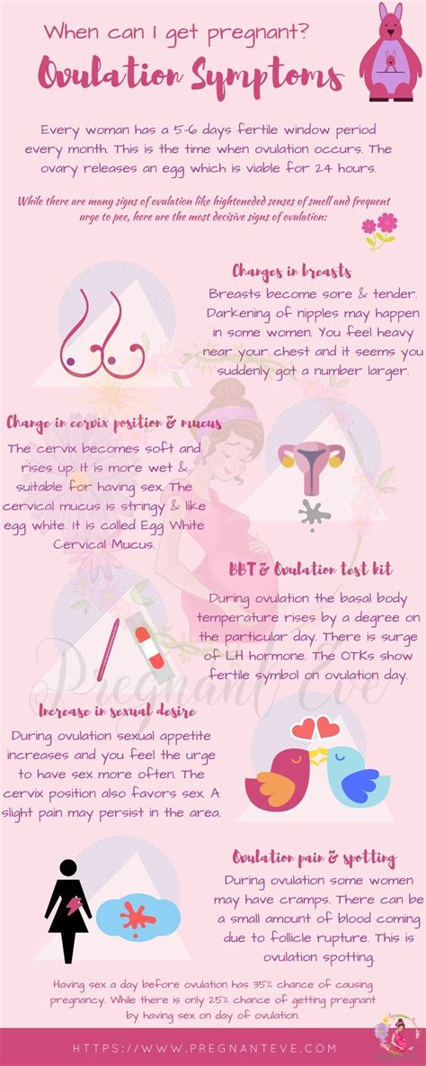 Ovulation Symptoms Top 15 Fertility Signs Every Woman