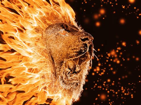 Fire Lion By Motoraton28 On Deviantart