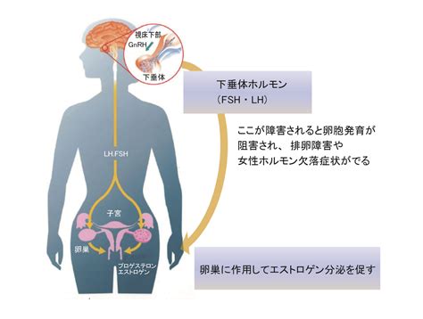 日本がん・生殖医療学会 がん治療別