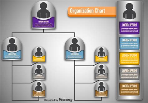 Vector Modern Organization Chart Organization Chart Modern