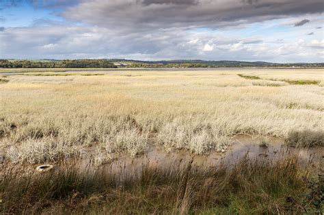 Salt Marsh On The North Coast © David P Howard Cc By Sa20 Geograph