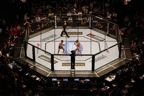 Ufc Rips Off Wwe With Roofed Hell In An Octagon