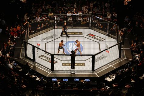 Místa, které je stvořeno pouze pro ty největší fanoušky. UFC rips off WWE with roofed "Hell in an Octagon"