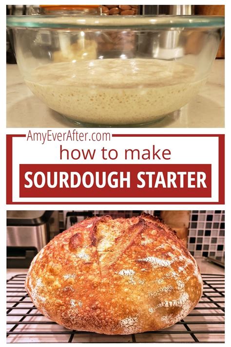 How To Make Sourdough Starter With Just 2 Ingredients Recipe In 2021 Delicious Bread