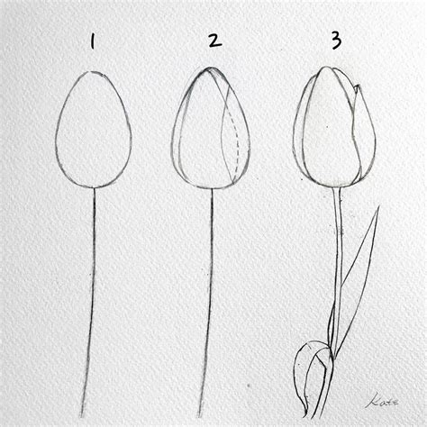 How To Draw Tulips Step By Step Hope It Will Help 단계별 튤립 그려보기😊
