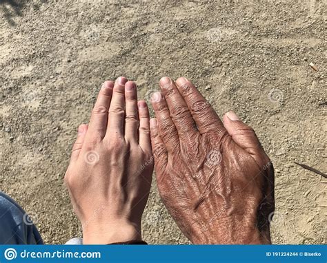 Female And Male Hands Stock Photo Image Of Couple Together 191224244