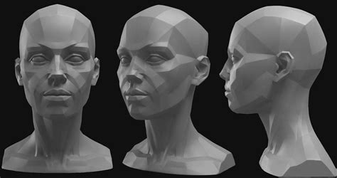 Drawing Heads Face Drawing Figure Drawing Reference Anatomy
