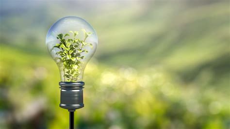 Green Innovations What Happened Next Energy Saving Trust