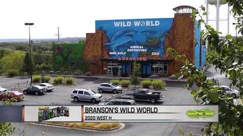 Best Of Branson Bransons Wild World Youtube