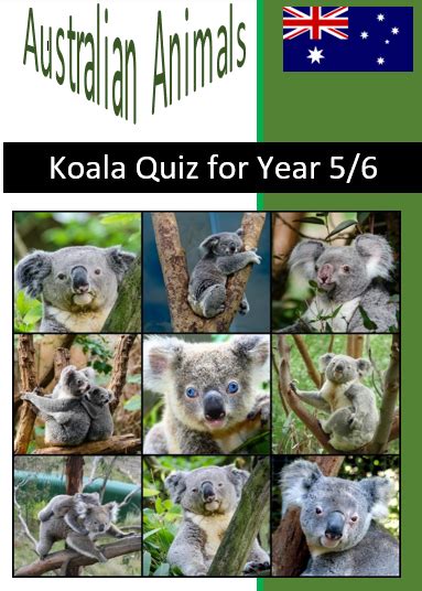 Koala Quiz For Year 56 Tour2teach